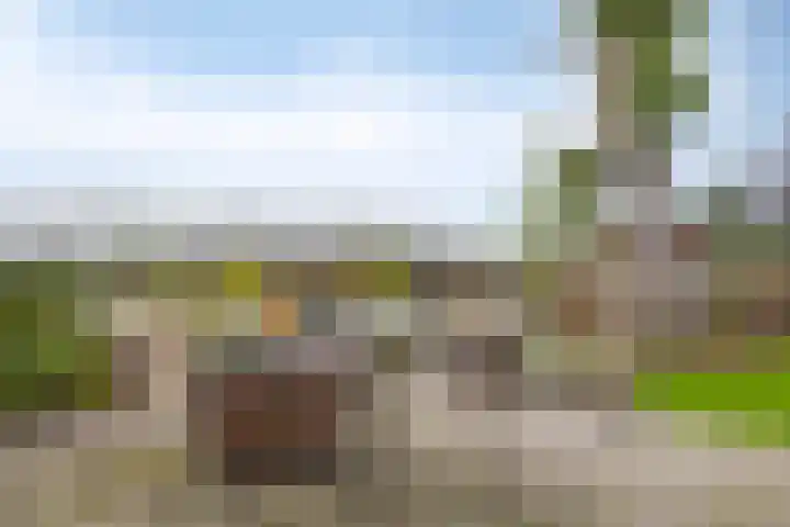 Lagendijk 170 Ridderkerk thumbnail 35