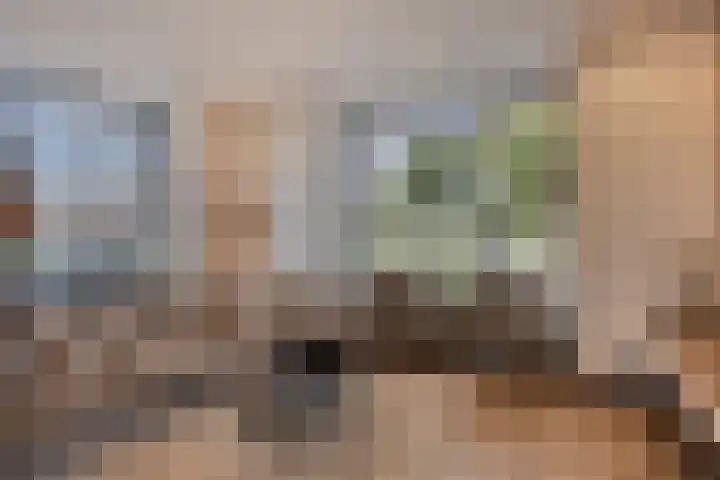 Lagendijk 170 Ridderkerk thumbnail 4