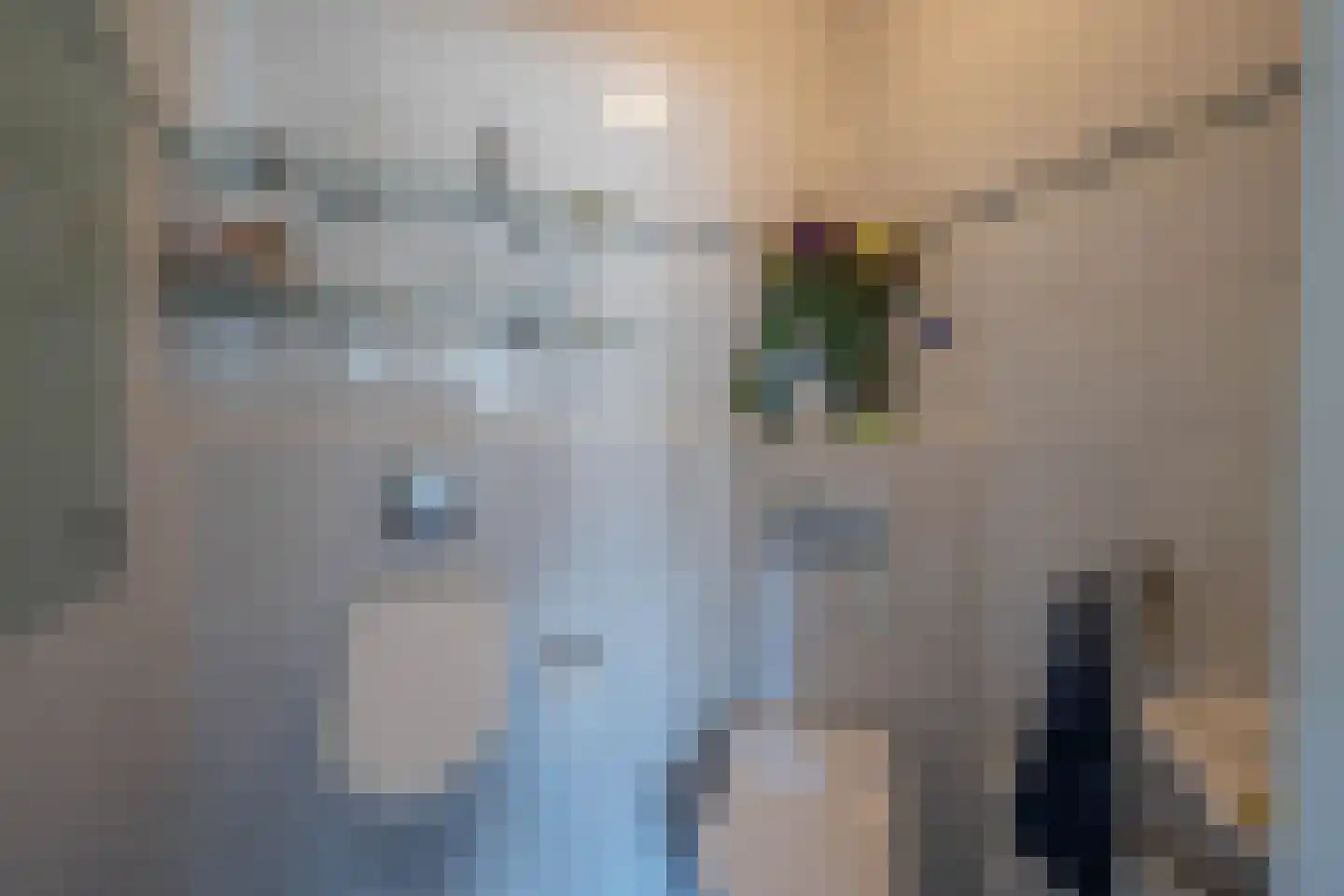 Lagendijk 19 45 Uitgeest thumbnail 18