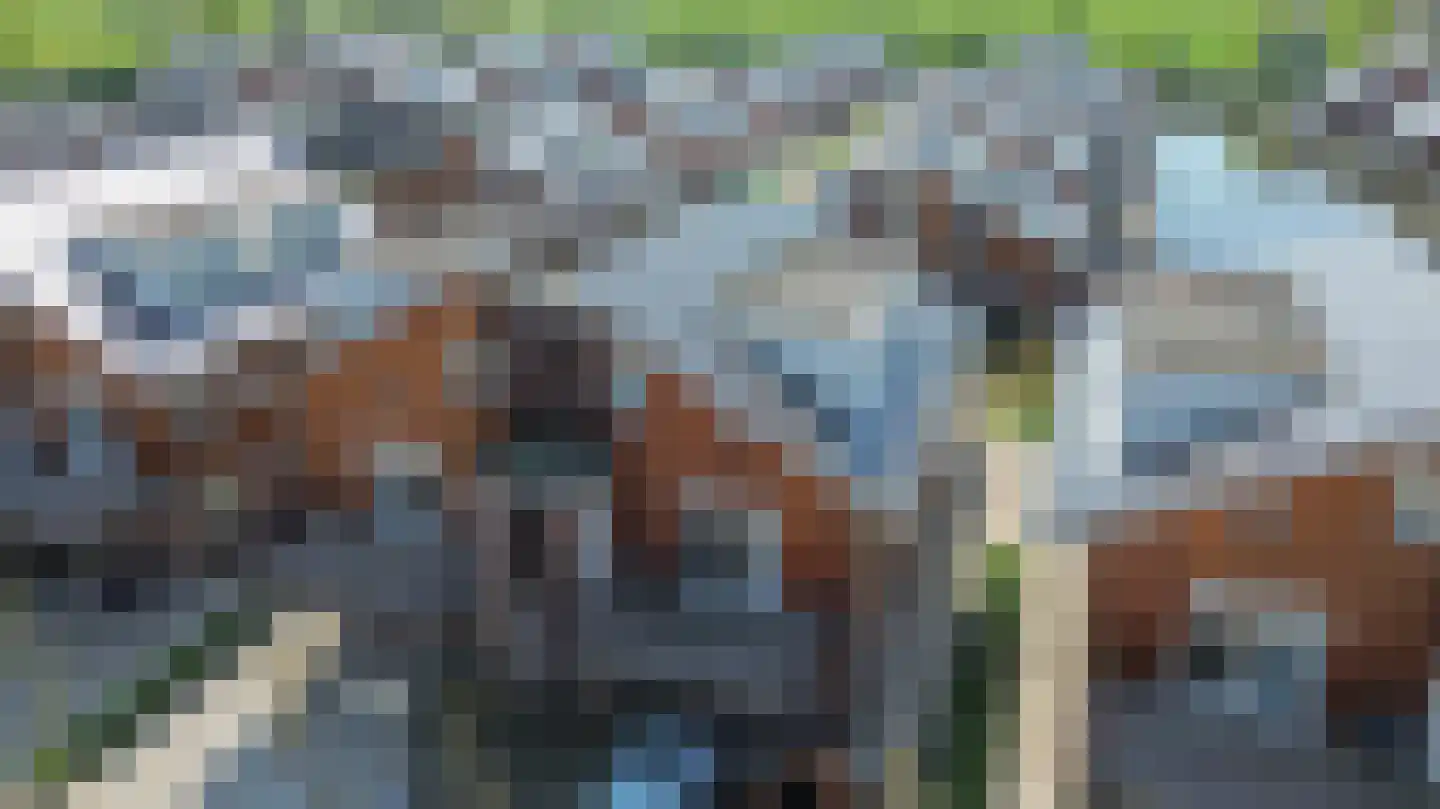 Lagendijk 19 45 Uitgeest thumbnail 21