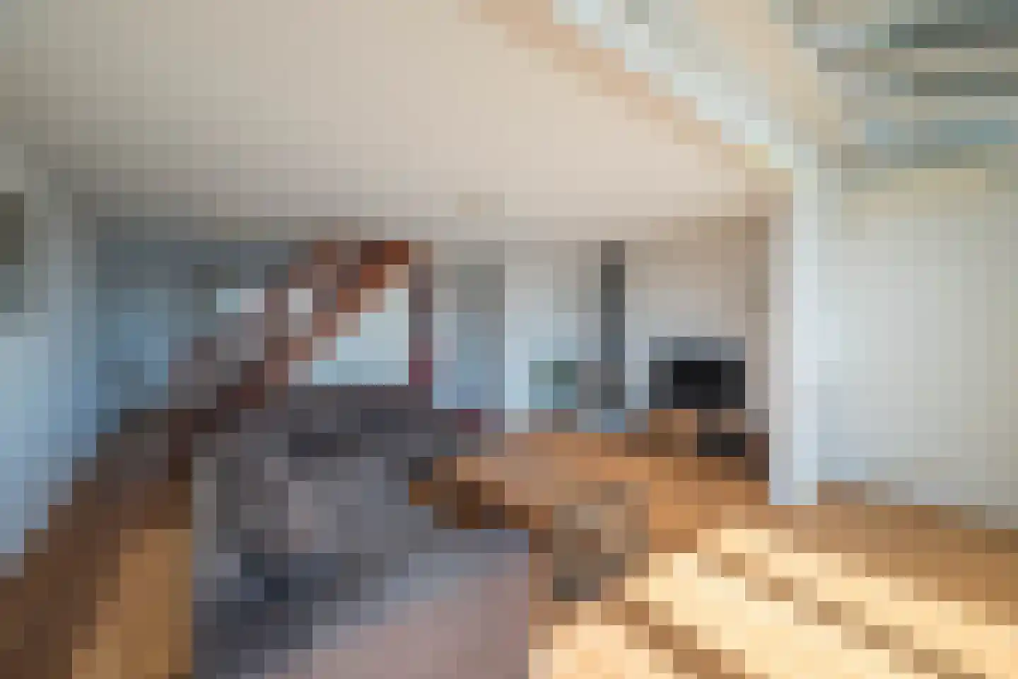 Lagendijk 19 45 Uitgeest thumbnail 8