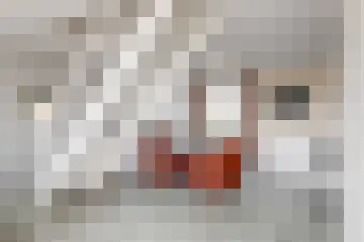 Lagendijk 19 72 Uitgeest thumbnail 10