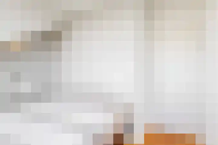 Lagendijk 19 72 Uitgeest thumbnail 18