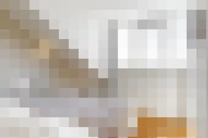 Lagendijk 19 72 Uitgeest thumbnail 22