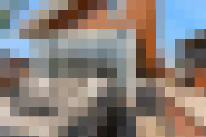 Lagendijk 19 72 Uitgeest thumbnail 27