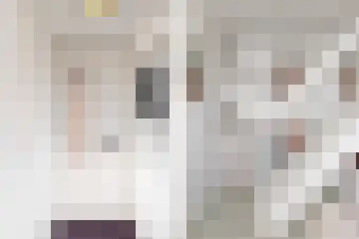 Lagendijk 19 72 Uitgeest thumbnail 4