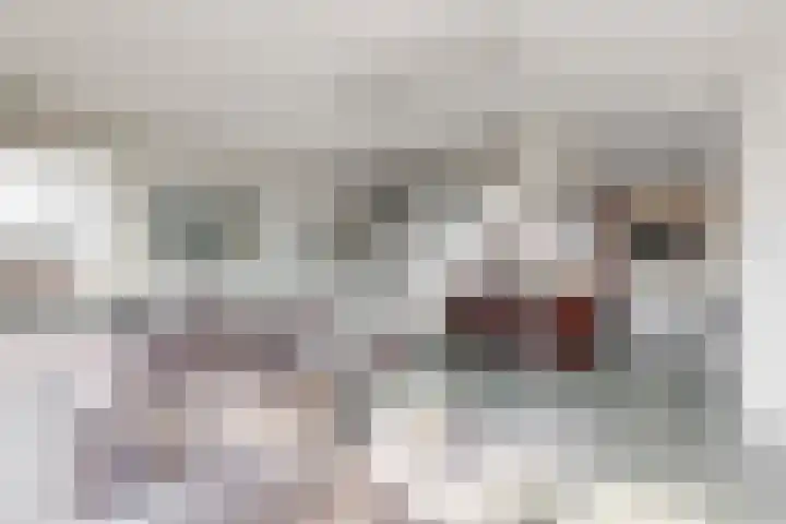 Lagendijk 19 72 Uitgeest thumbnail 6