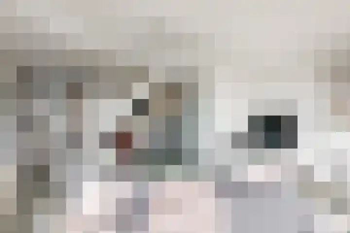 Lagendijk 19 72 Uitgeest thumbnail 7