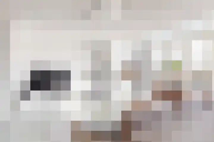 Lagendijk 19 72 Uitgeest thumbnail 8
