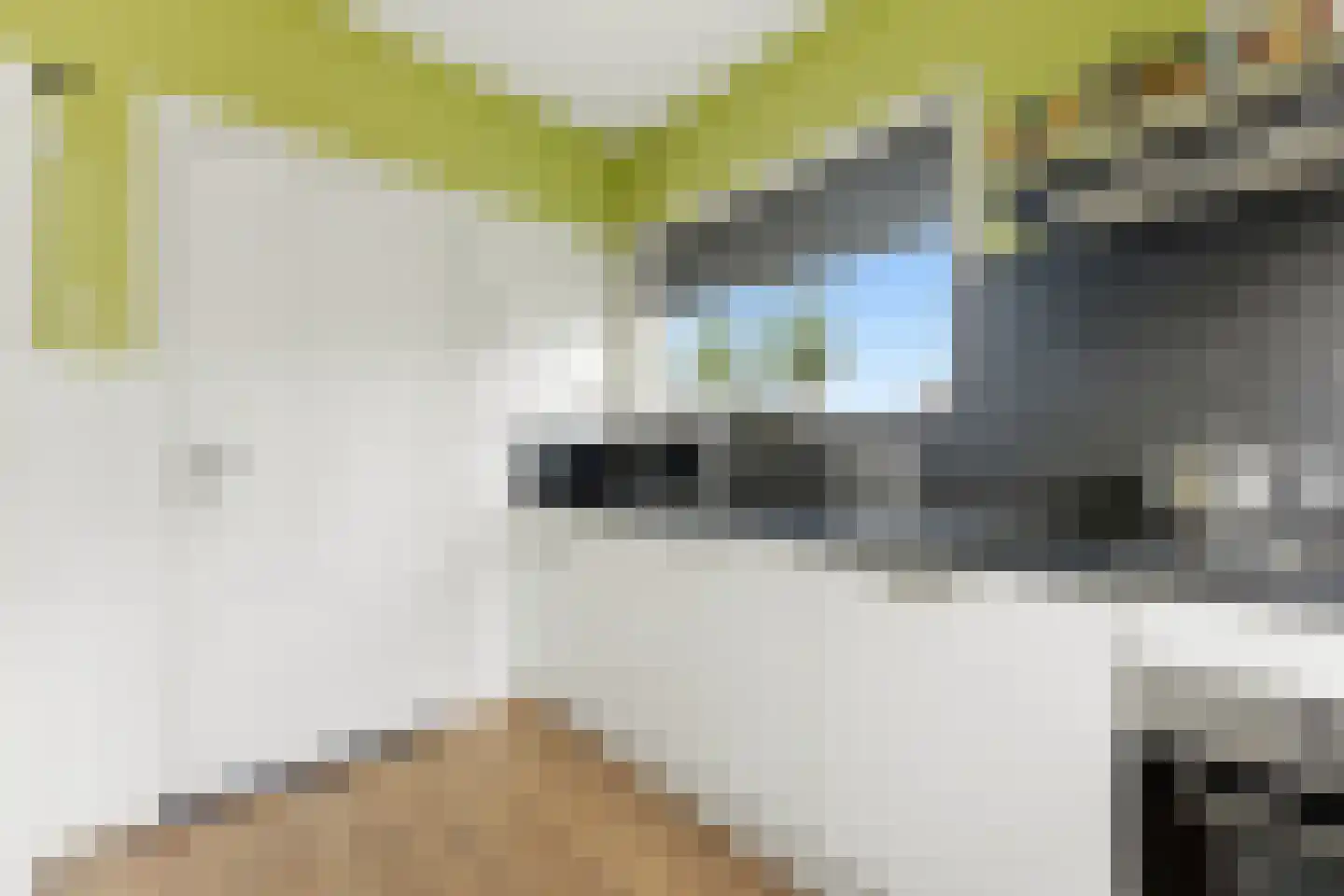 Lagendijk 209 Ridderkerk thumbnail 13