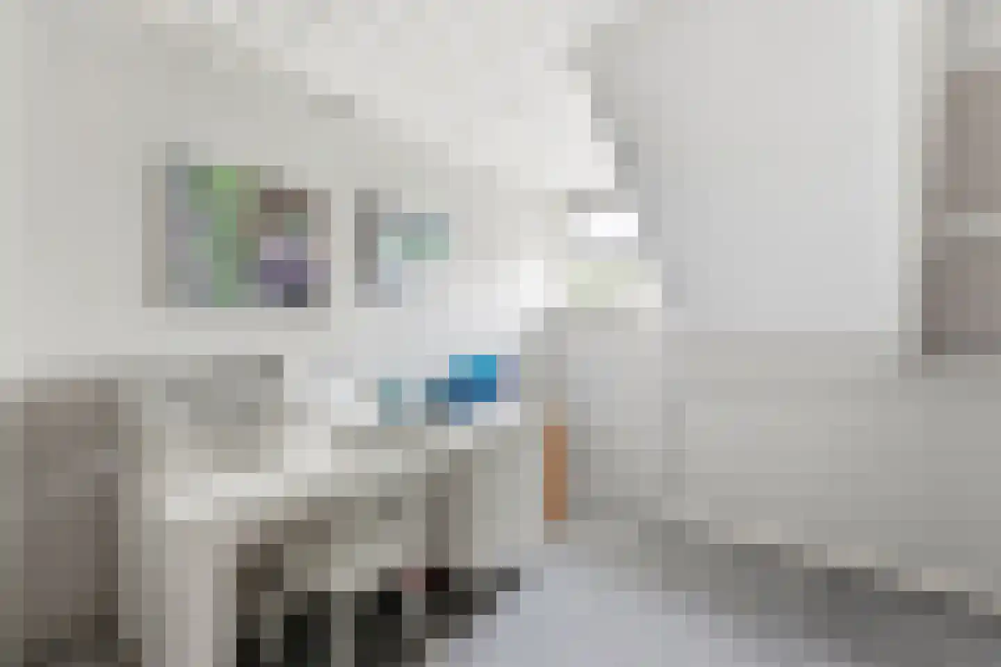 Lagendijk 209 Ridderkerk thumbnail 17