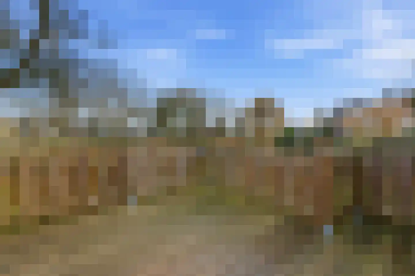 Lagendijk 209 Ridderkerk thumbnail 34