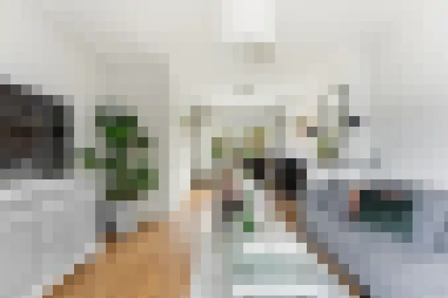 Lagendijk 209 Ridderkerk thumbnail 6