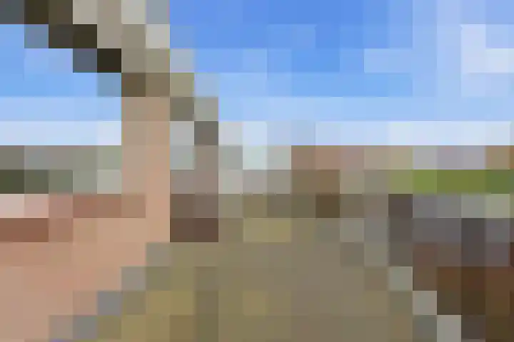 Lagendijk 213 Ridderkerk thumbnail 10