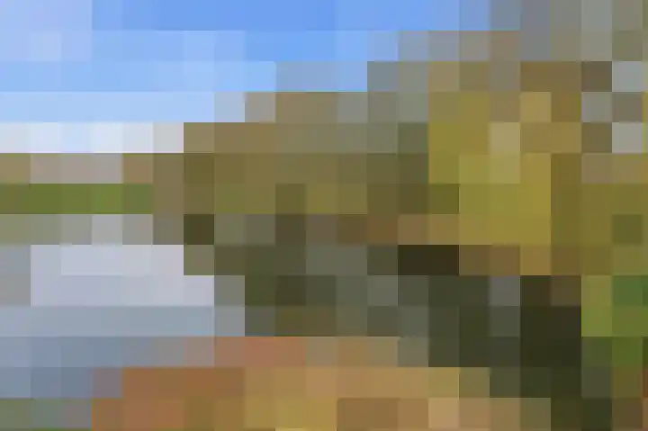 Lagendijk 213 Ridderkerk thumbnail 13