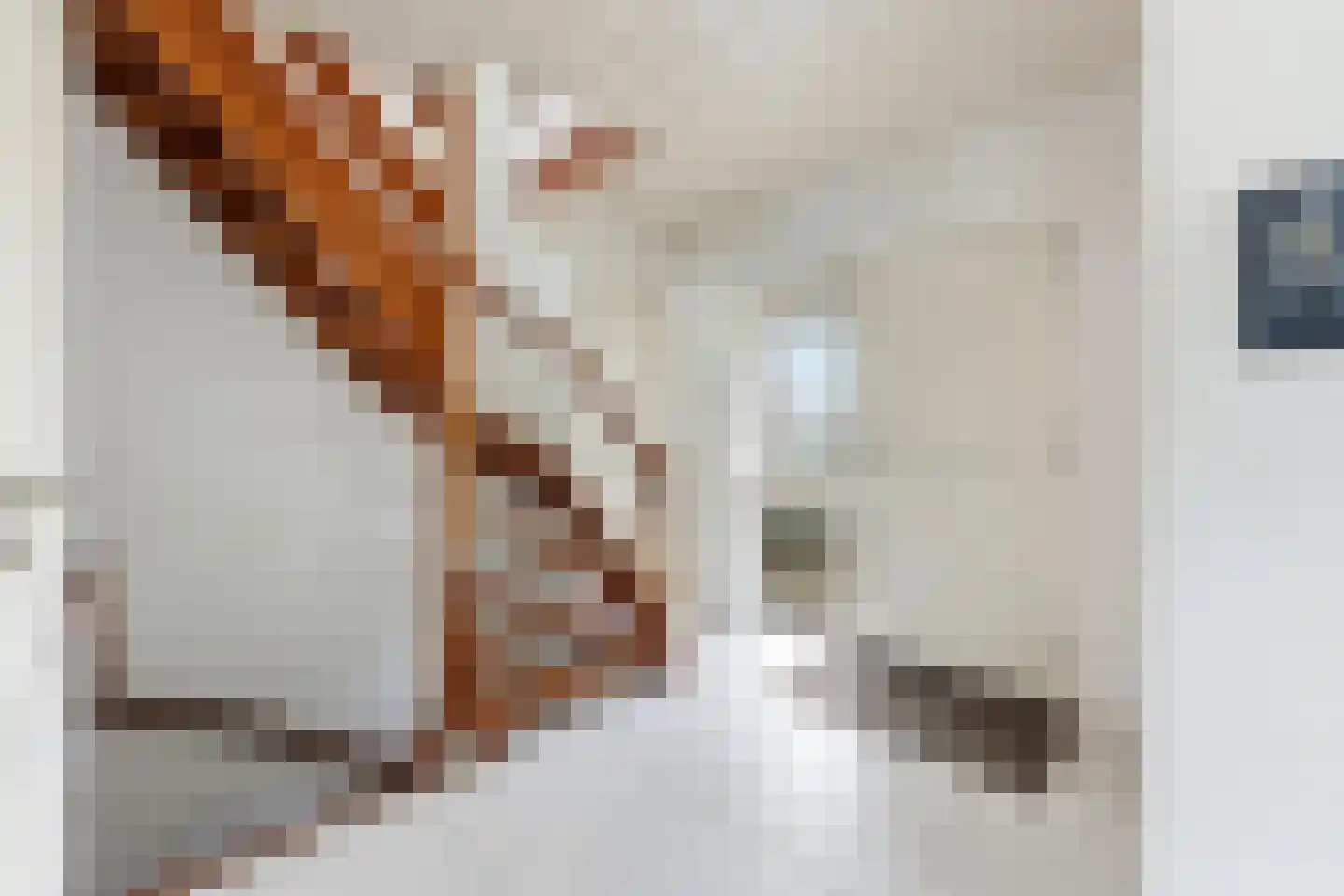 Lagendijk 213 Ridderkerk thumbnail 22