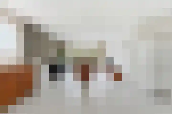 Lagendijk 213 Ridderkerk thumbnail 5