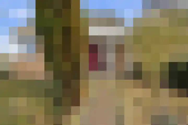 Lagendijk 213 Ridderkerk thumbnail 53