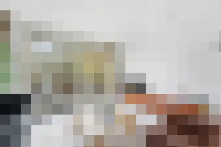 Lagendijk 213 Ridderkerk thumbnail 7