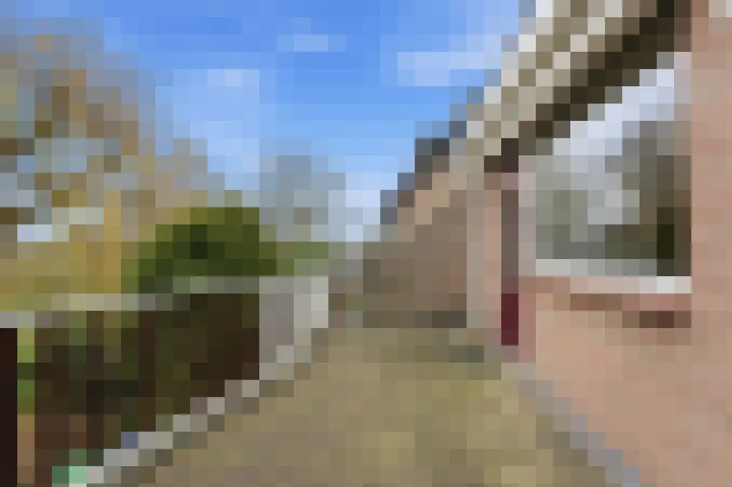 Lagendijk 213 Ridderkerk thumbnail 9