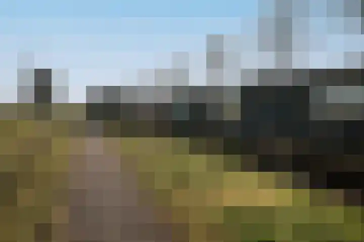 Lagendijk 25 Uitgeest thumbnail 24