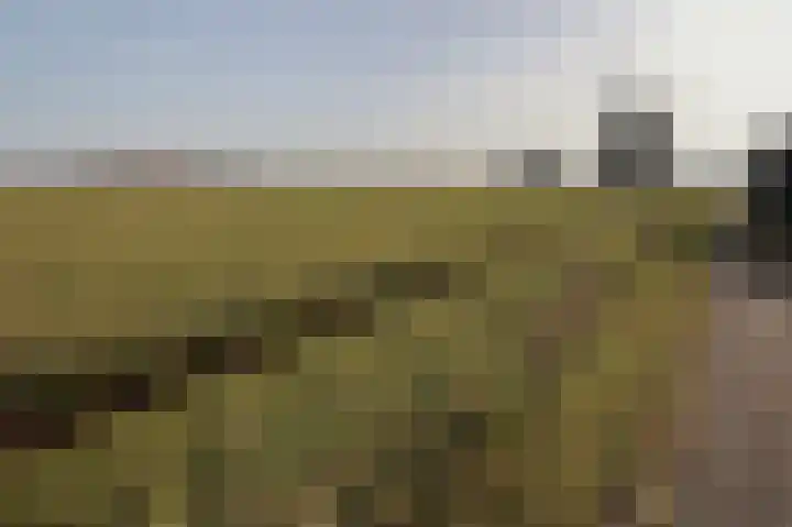 Lagendijk 25 Uitgeest thumbnail 25