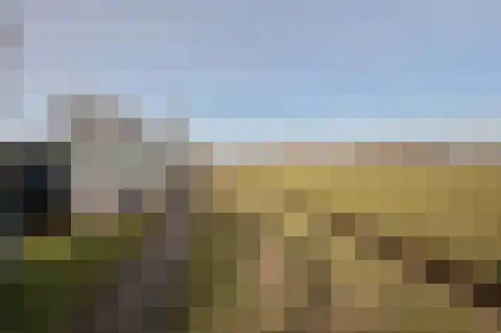 Lagendijk 25 Uitgeest thumbnail 30
