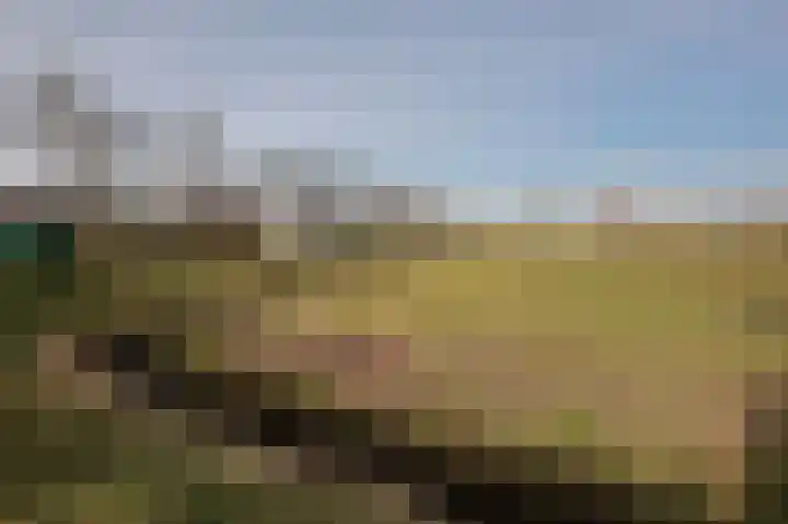 Lagendijk 25 Uitgeest thumbnail 31