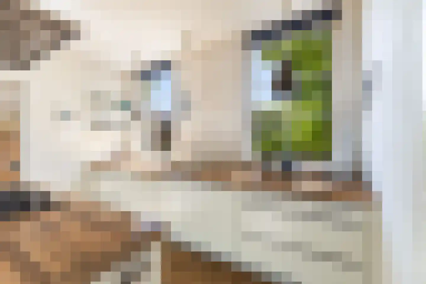 Lagendijk 291 Ridderkerk thumbnail 22