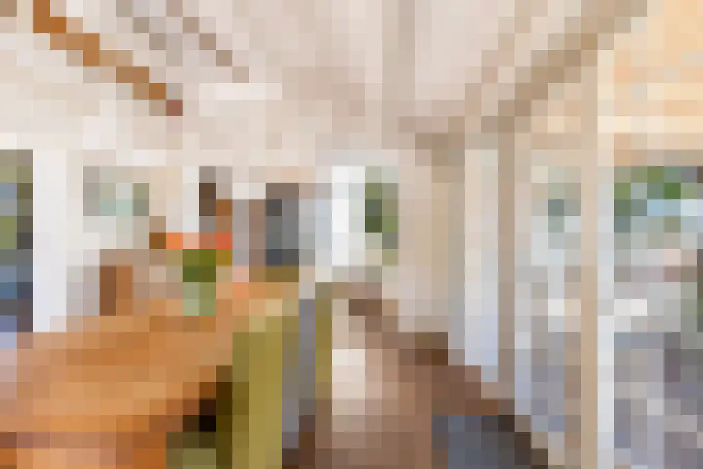 Lagendijk 291 Ridderkerk thumbnail 32