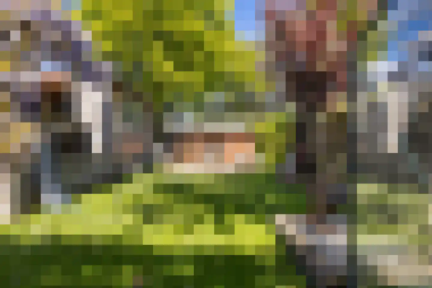 Lagendijk 291 Ridderkerk thumbnail 43