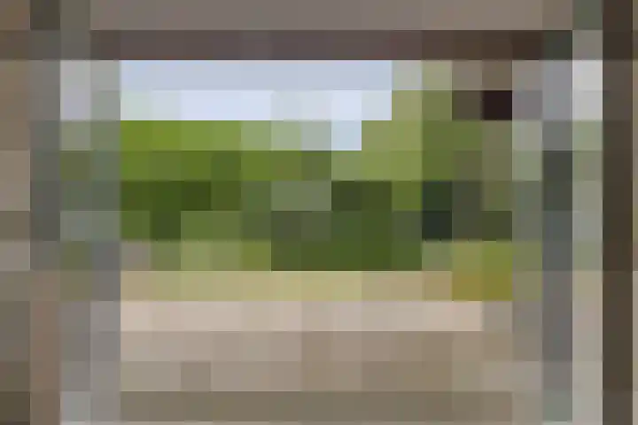 Lagendijk 307 Ridderkerk thumbnail 30