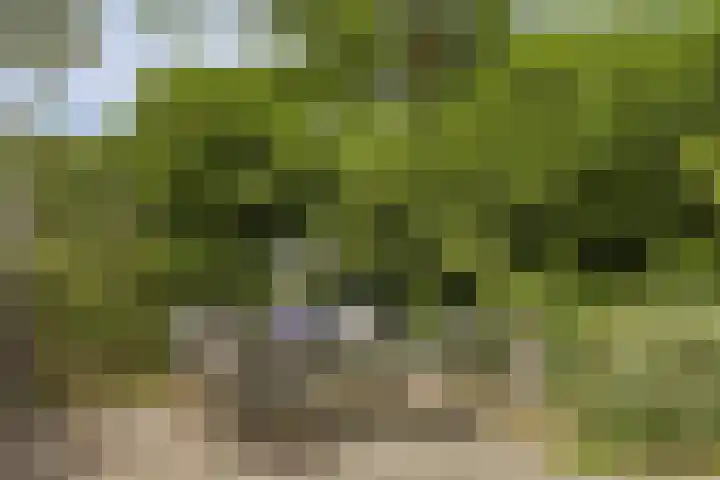Lagendijk 307 Ridderkerk thumbnail 32