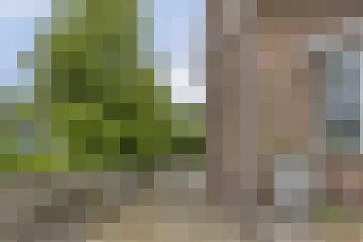 Lagendijk 307 Ridderkerk thumbnail 35