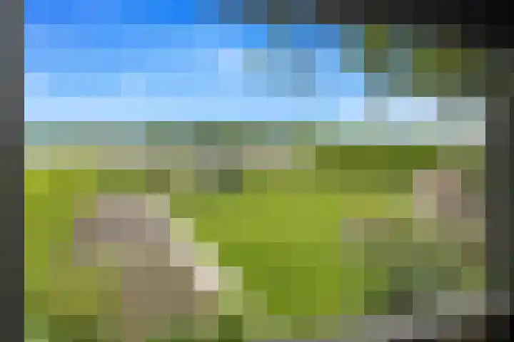 Lagendijk 311 Ridderkerk thumbnail 34