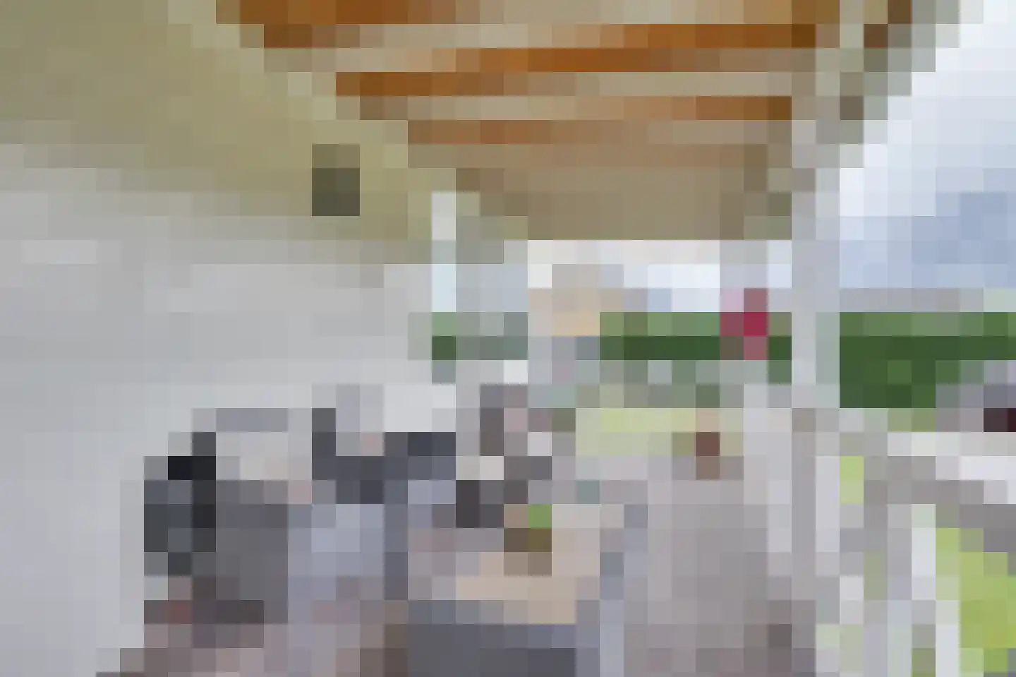 Lagendijk 319 Ridderkerk thumbnail 4