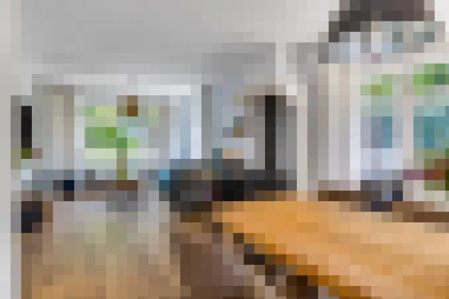 Lagendijk 35 Koog aan de Zaan thumbnail 11