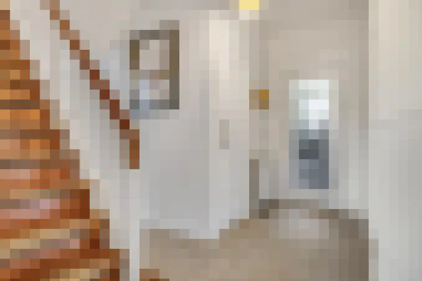 Lagendijk 35 Koog aan de Zaan thumbnail 18