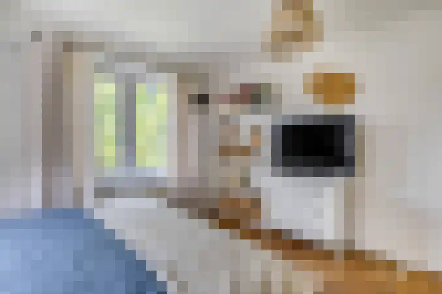 Lagendijk 35 Koog aan de Zaan thumbnail 24
