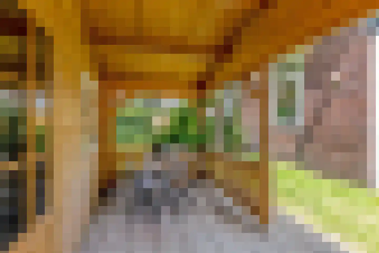 Lagendijk 35 Koog aan de Zaan thumbnail 36