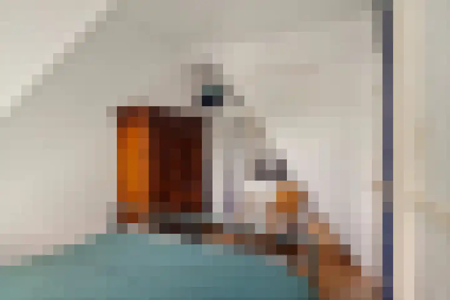 Lagendijk 43 Koog aan de Zaan thumbnail 23