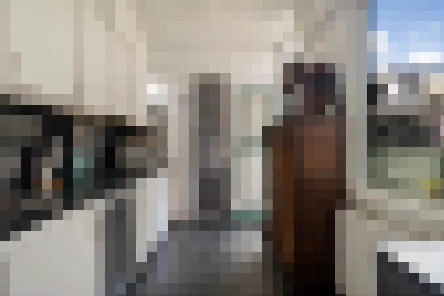 Lagendijk 43 Koog aan de Zaan thumbnail 4