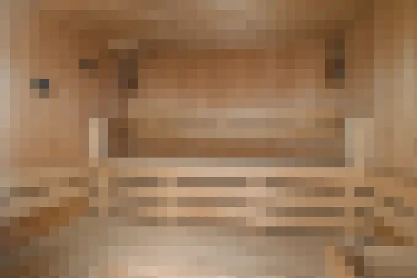 Lagendijk 43 Koog aan de Zaan thumbnail 5