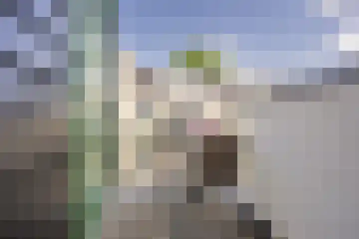 Lagendijk 76 Koog aan de Zaan thumbnail 25