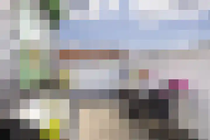 Lagendijk 76 Koog aan de Zaan thumbnail 31