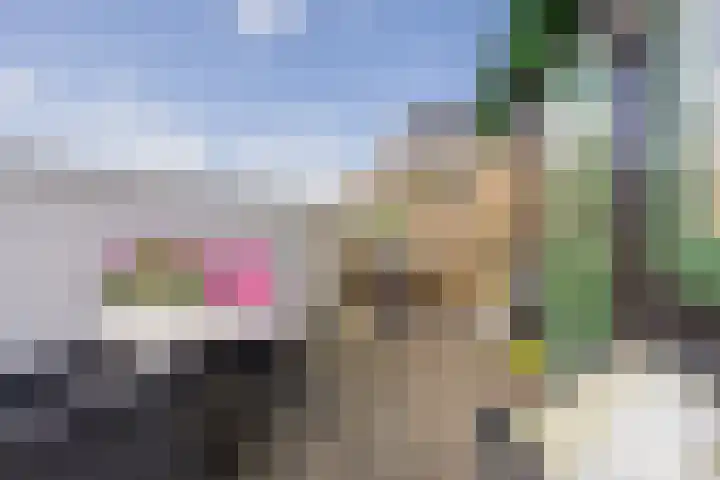 Lagendijk 76 Koog aan de Zaan thumbnail 32