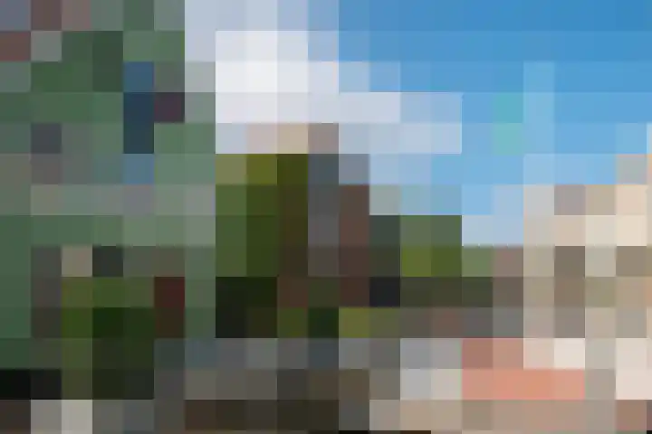 Lagendijk 76 Koog aan de Zaan thumbnail 44