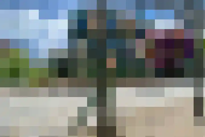 Lagendijk 76 Koog aan de Zaan thumbnail 5