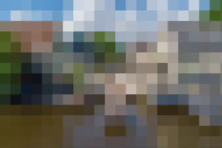 Lagendijk 76 Koog aan de Zaan thumbnail 51