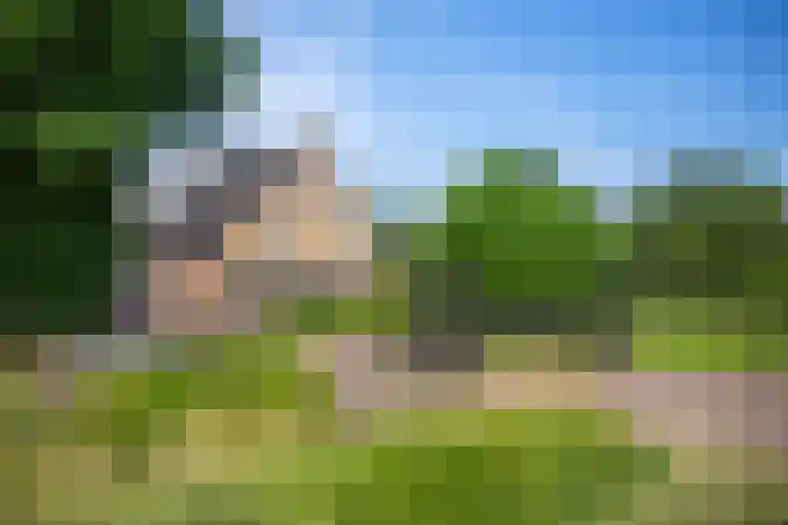 Lagendijk 88 Ridderkerk thumbnail 11